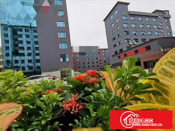 龙岗南联龙城广场地铁站旁20000平方办公电商仓库出租可分租