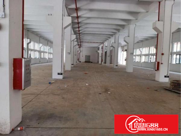 超好形象全新楼层厂房带货梯出租