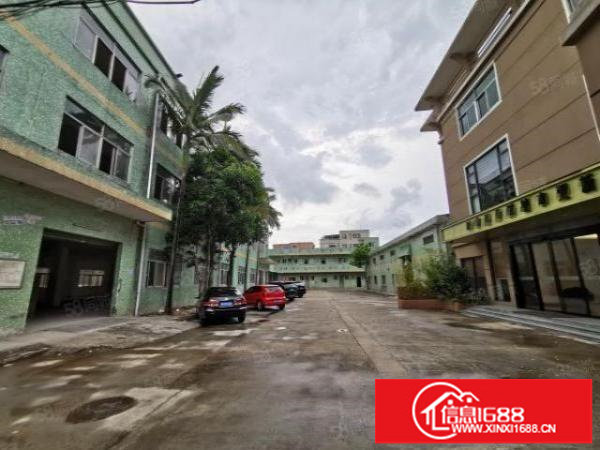 坪山石井新出1100平厂房，大小分组，交通便利，带红本