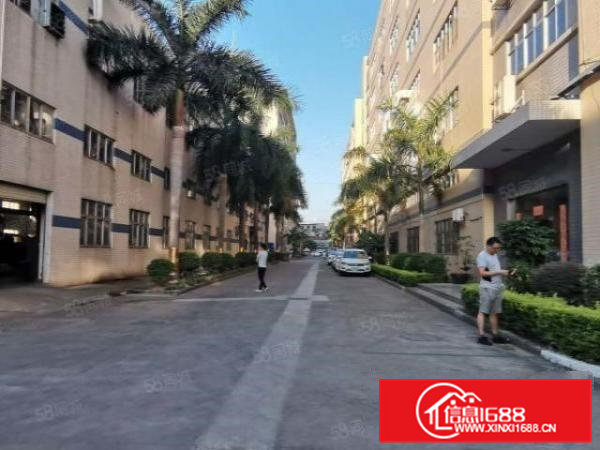 凤岗雁田新出楼上3200平花园式超大空地厂房出租200平起租