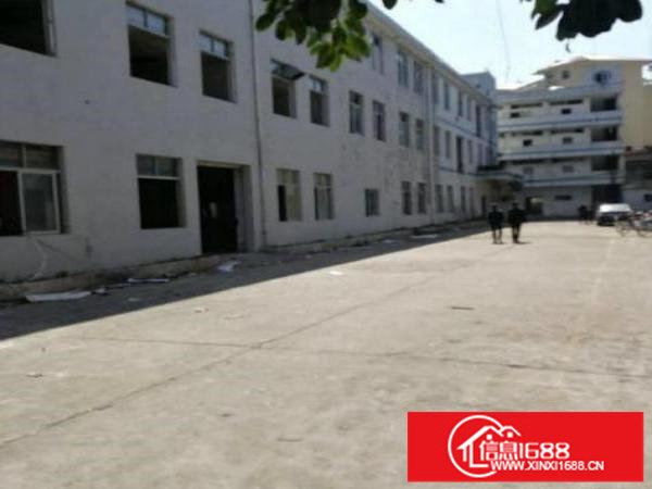 出租龙岗区坪地5千平米厂房框架结构价格实惠独门独院出租