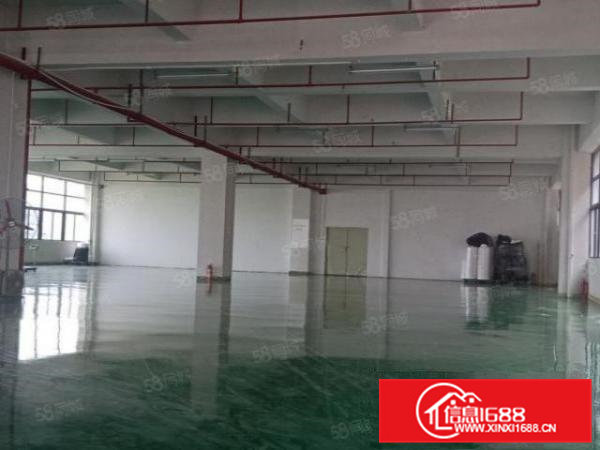 凤岗花园式厂房楼上精装修1200平方现成地坪漆办公室