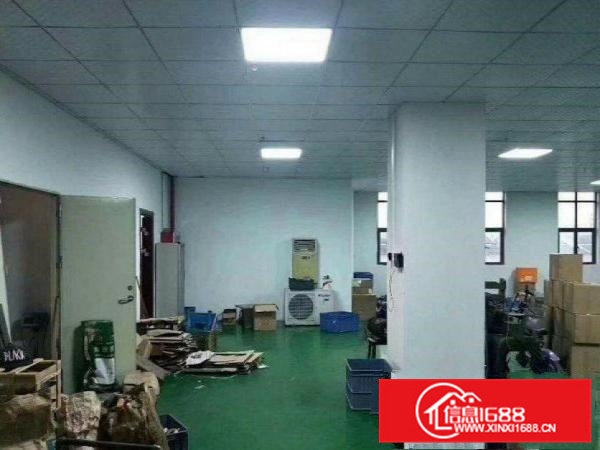 镇隆原房东一楼550，二楼1100平厂房出租可分租！