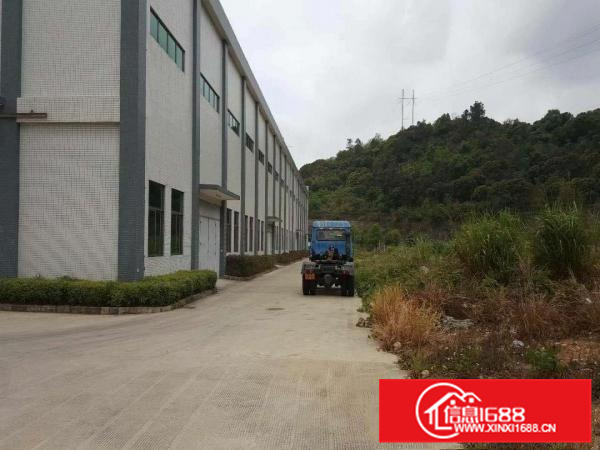 惠阳镇隆甘陂村原房东15米独院钢构厂房