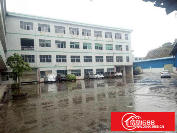 龙岗楼上1200平米现成办公室地坪漆精装修，价格优惠。