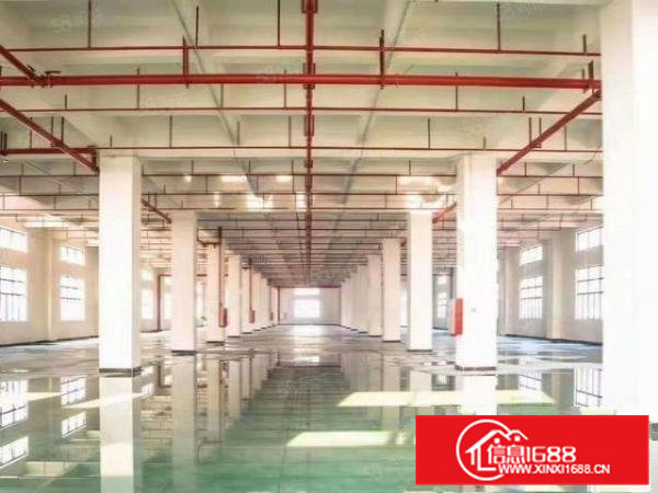 常平原房东独院12000平米标准厂房出租