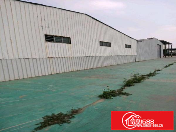 独户，环城路出口，周边无居民，850方铁皮房，400方空地，