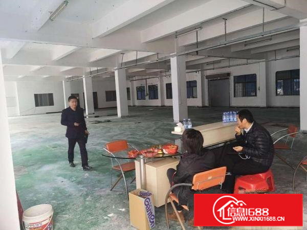 横沥汽车站新出独院3800平方招租【实际面积300起分】