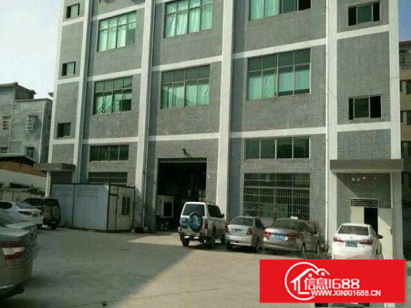 （出租）五一大道边一楼660平带装修厂房招租