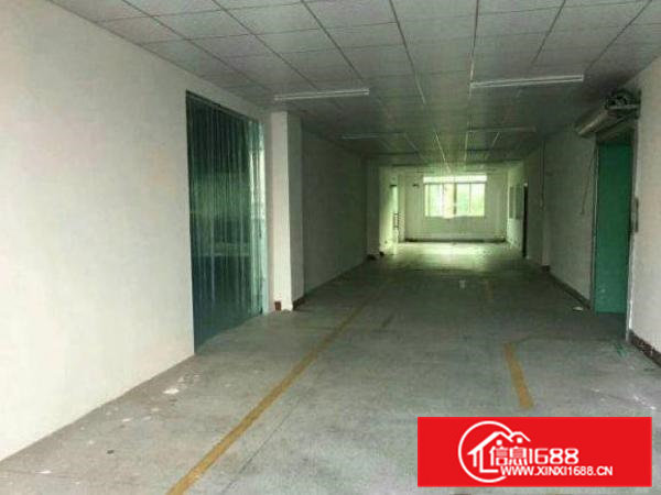 常平九江水新空出厂房1450平米