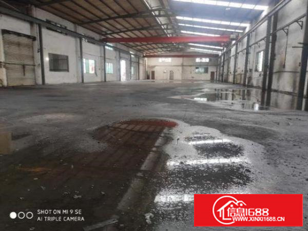 塘厦石马珍珠棉家具工艺品塑胶抽粒钢构厂房出租1800平