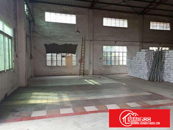 塘厦林村2200平独门独院钢构厂房,滴水8米,原房东价低火爆