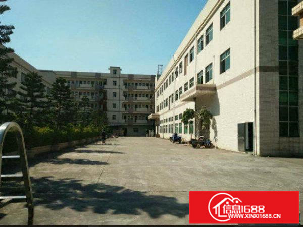 出租龙岗区平湖一楼500平方米标准厂房