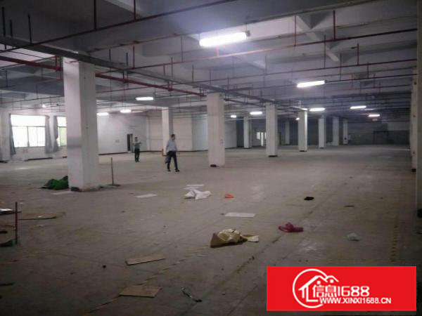 虎门北栅新出一花园式独院厂房一楼3600平