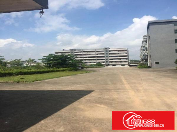 大朗原房东标准园区独院可分租厂房20000平米可分租