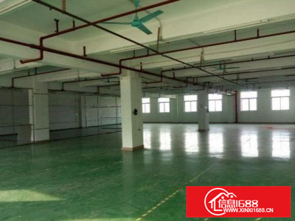 狮山招大1楼870平带装修厂房出租