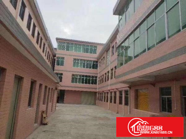 新生独院厂房分租楼上720平面积实在空地大带装修