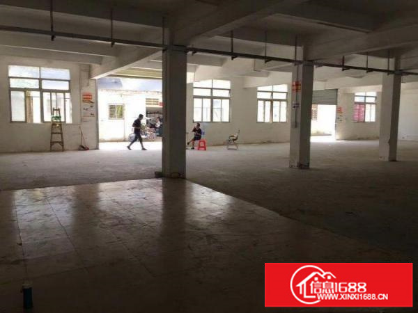 横岗六约房东厂房直租1200平米可分租