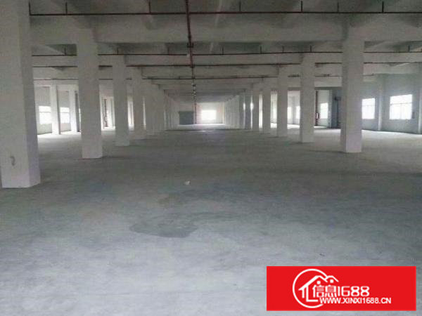 东方原房东标准电梯厂房1100平方，配3吨电梯