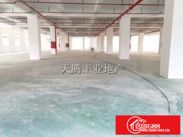 （出租）乐从良村工业区全新标准厂房带2台5吨货梯