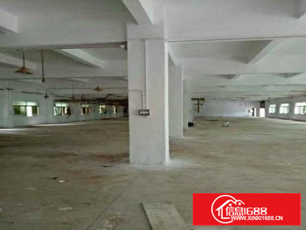 塘厦龙背岭新出独院厂房4900平方办公楼600平方