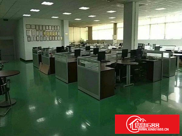 凤凰镇金凤凰原房东新出4800平方无尘车间