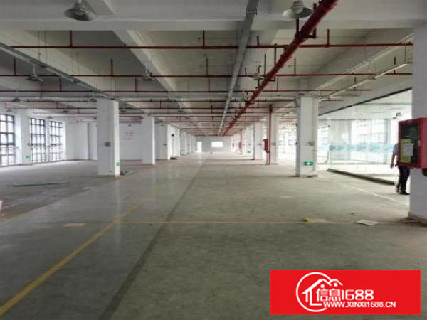 凤岗雁田村新出970平厂房出租，空地大带红本