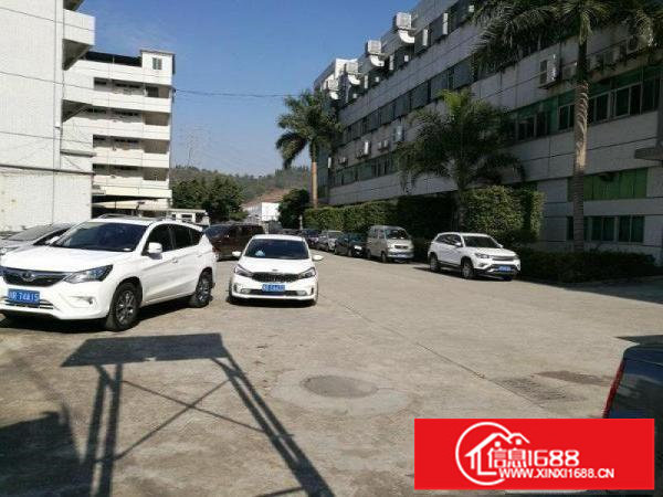 荷坳一楼1100，二楼2000，三楼2000