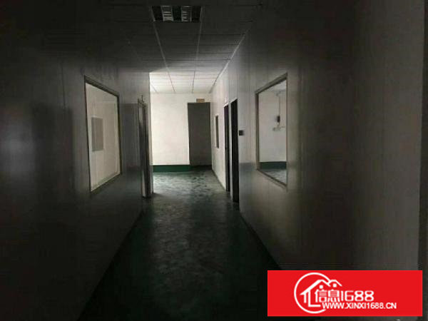 出租龙岗区浪背工业区一楼带行车厂房550平方