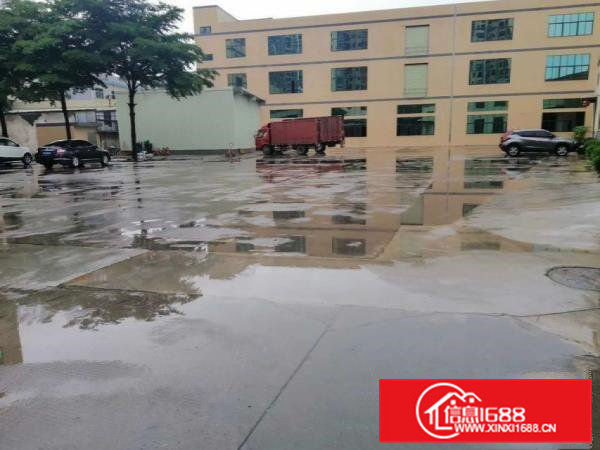 带装修急租大朗沙步一楼1500平方厂房大小可分租