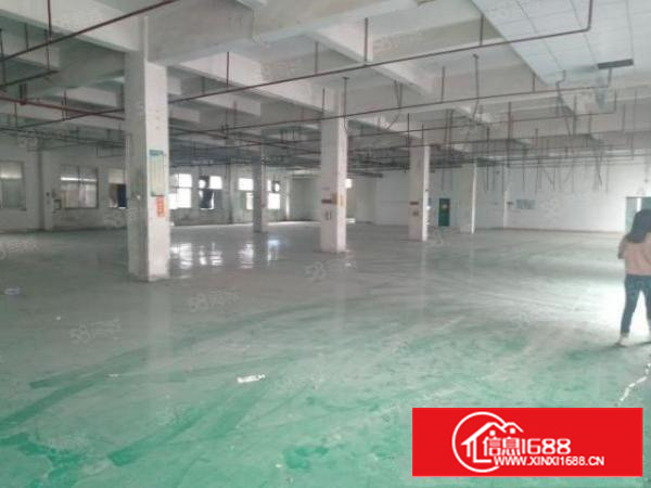 仅租9元！原房东自用厂房分租二三楼，每层1000平方