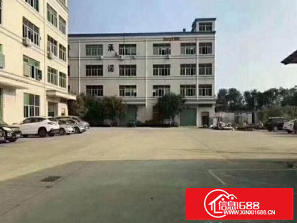 横岗安良新出独门独院原房东厂房出租，无公摊