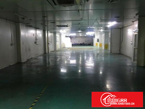 凤岗镇碧湖大道原房东大型工业园无尘车间2100平方