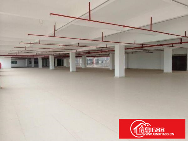 惠州市仲恺沥林高速路口12000平方全新标准厂房