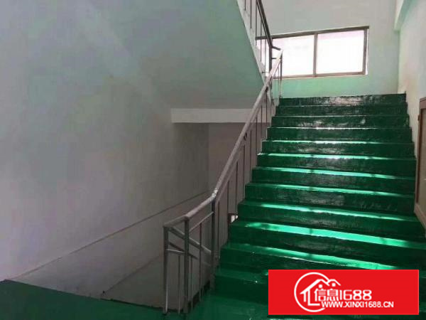 东莞长安镇靠深圳松岗107国道漂亮小独院火热招租