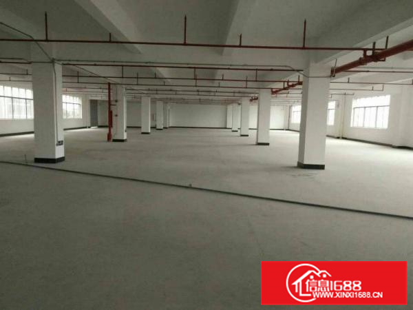 镇隆新出14000平独院标准厂房出租