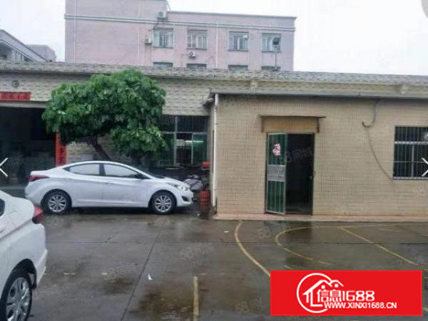 常平新出单一层钢构小厂房600平方招租，可做污染行业