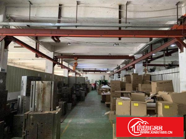 原房东红本独院标准厂房出租5000平空地超大有行车