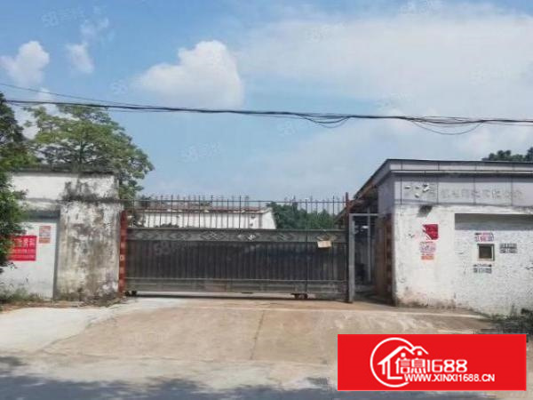 石排独门独院单一层厂房出租证件齐全324国道边空地超大