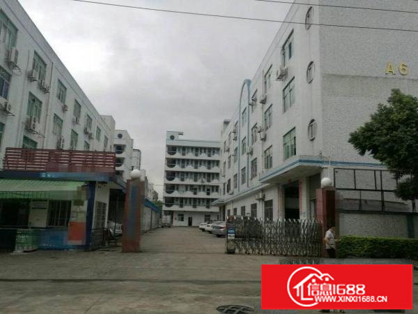 平湖大望工业区一楼1380平方好进拖头，好招工