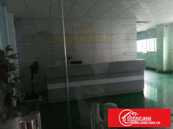 大浪龙泉科技园新出3楼400平带装修形象好带装修