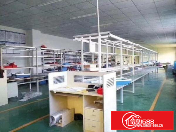 大岭山大环村750平方厂房出租精装修