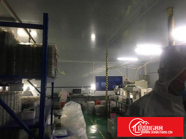 石排无尘车间，水电齐全，4楼，电梯