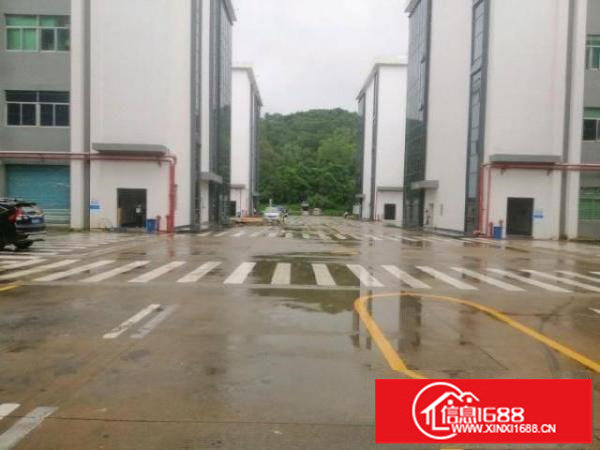 龙岗龙岗区南联厂房600平米