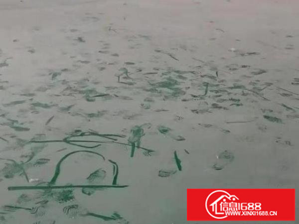 龙岗坪地龙岗大道旁独门独院钢构砖墙到顶现成装修空地大