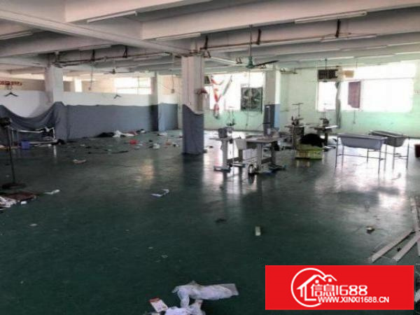 【简装修】赤山工业区650平方厂房，仓库出租