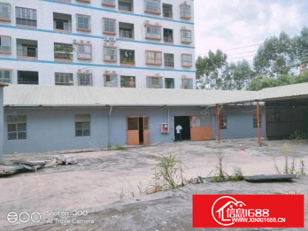 龙华观澜新出4万平园区，100平起分。空地大车位租大车可掉头