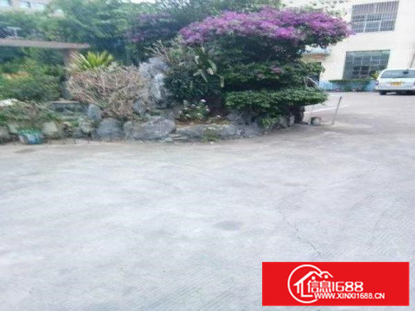 凤岗官井头工业园业主一楼标准厂房出租1000平方