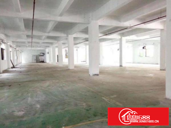 万江工业区标准厂房出租一楼1100平方出租形象高大上！配电充