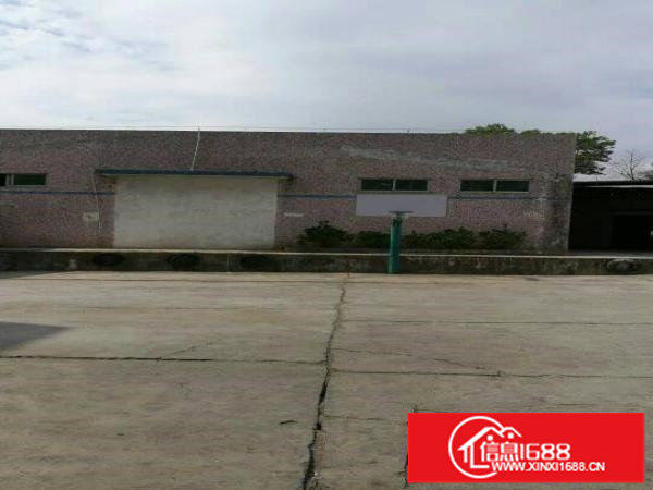 观澜大量单一层出租，大小都有，200起租